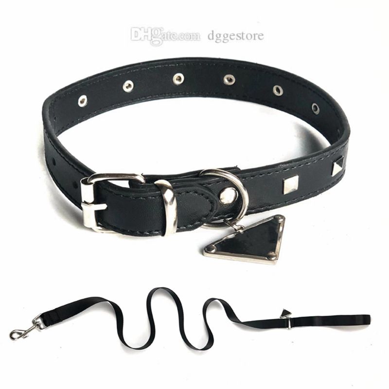 Collars+Leash