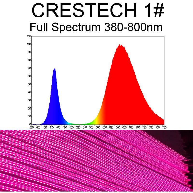 Volledig spectrum 1#