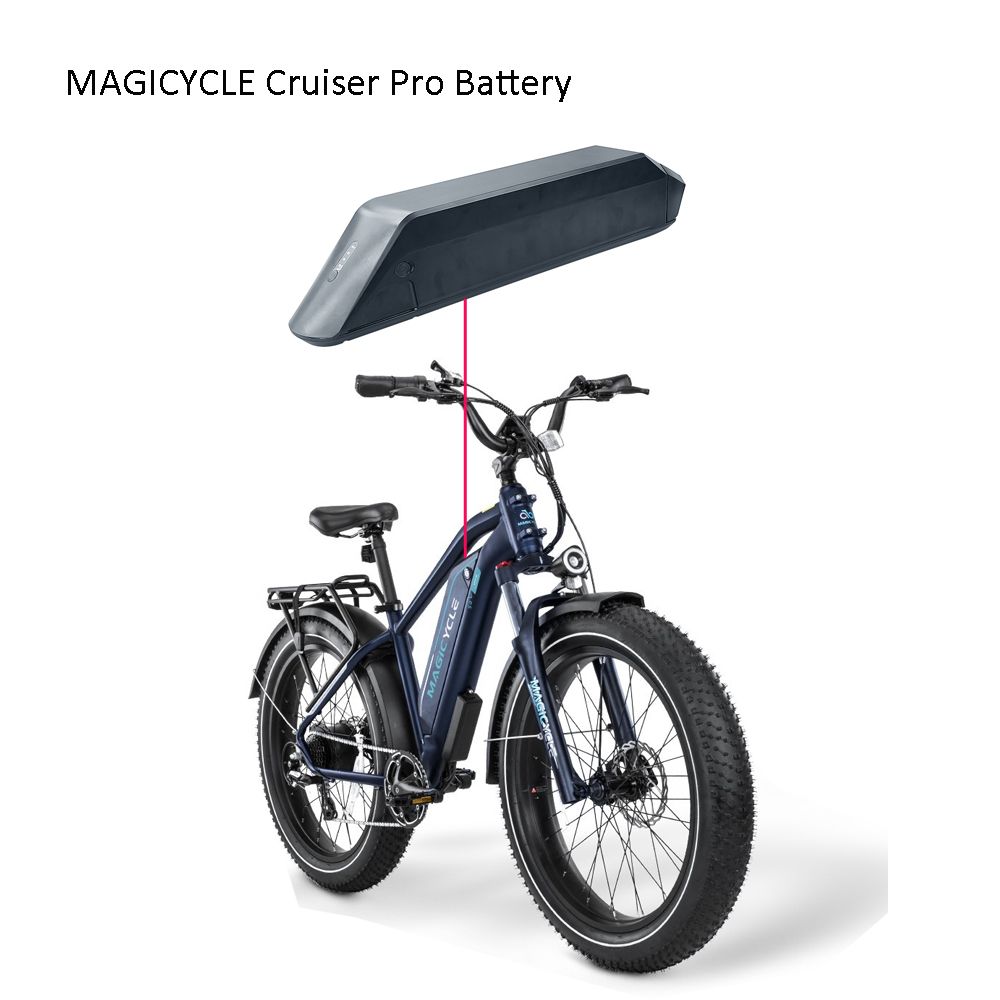 Cruiser Pro Battery