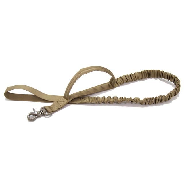 Khaki Leash