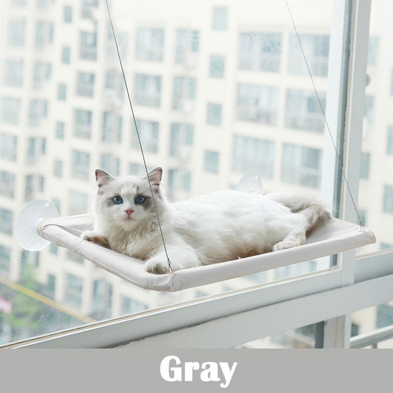 Letto di gatto grigio con tappeto a