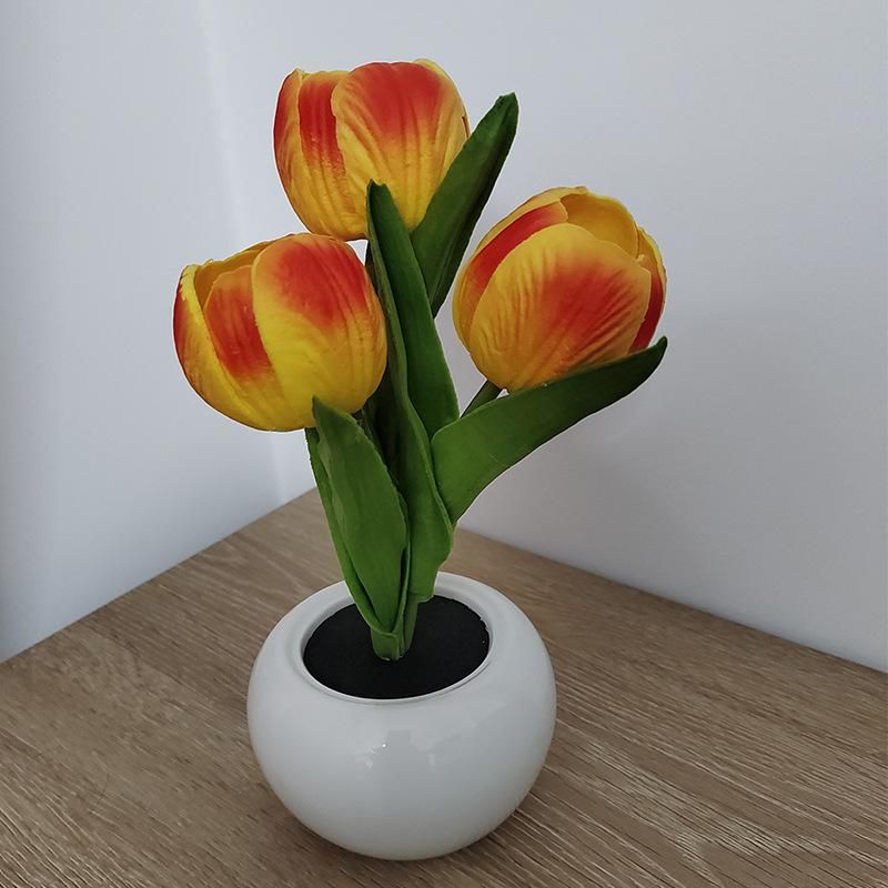Tulip laranja branco quente