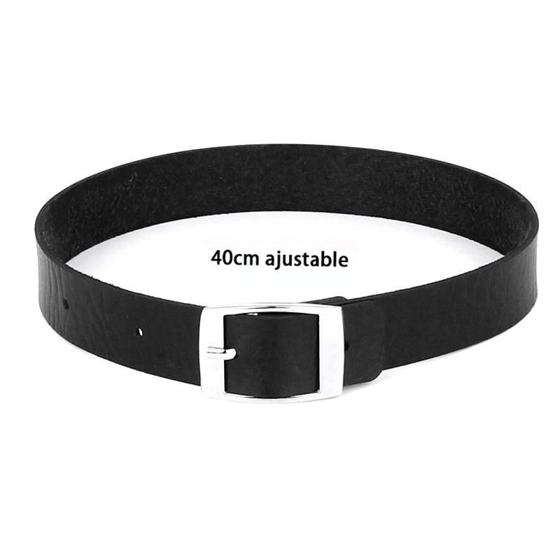 Ceinture noire