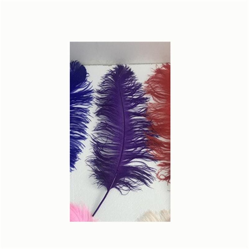 Purple feather