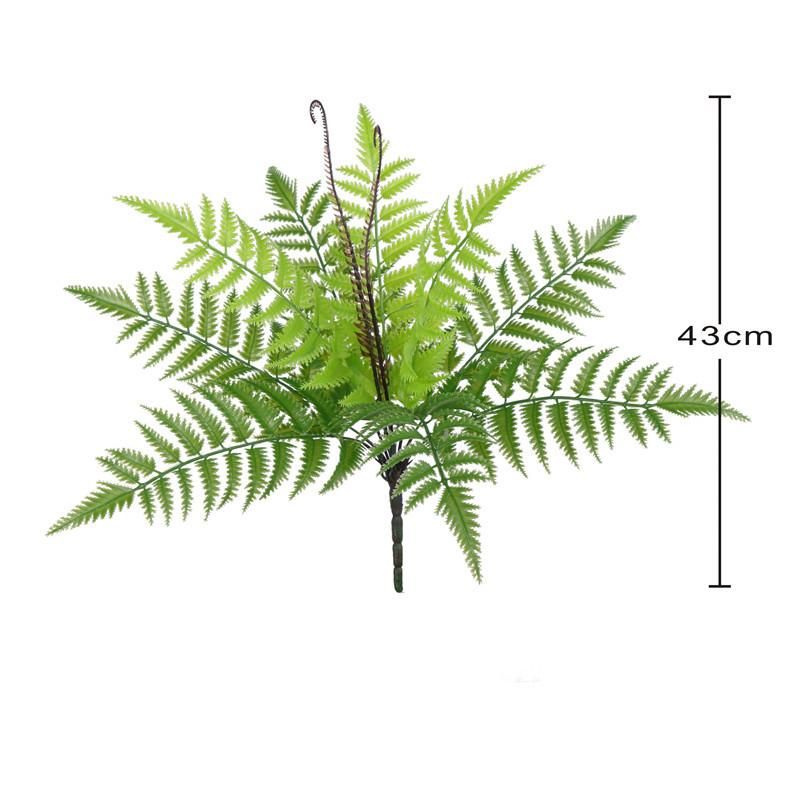 Fern Fern-2