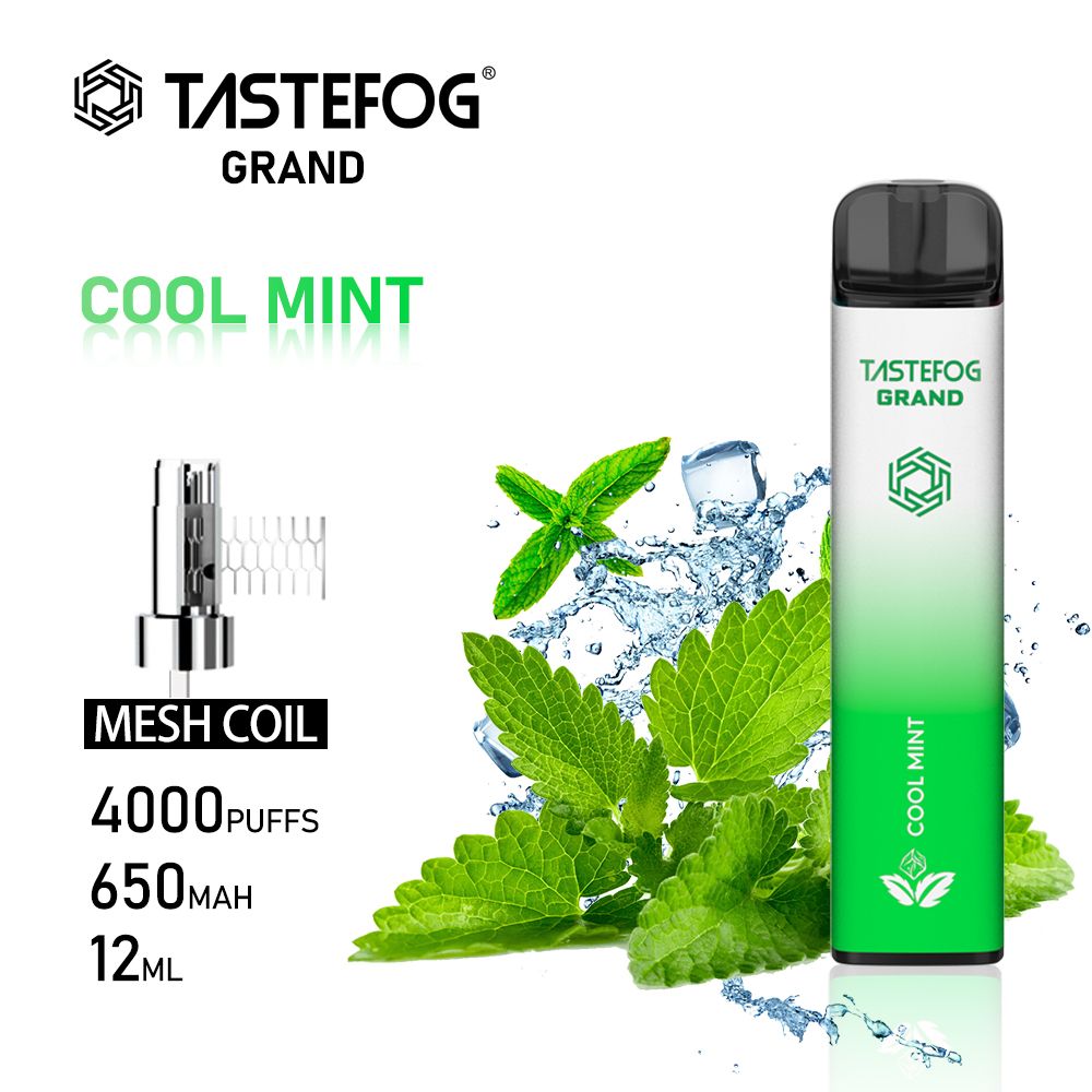 menthe fraîche