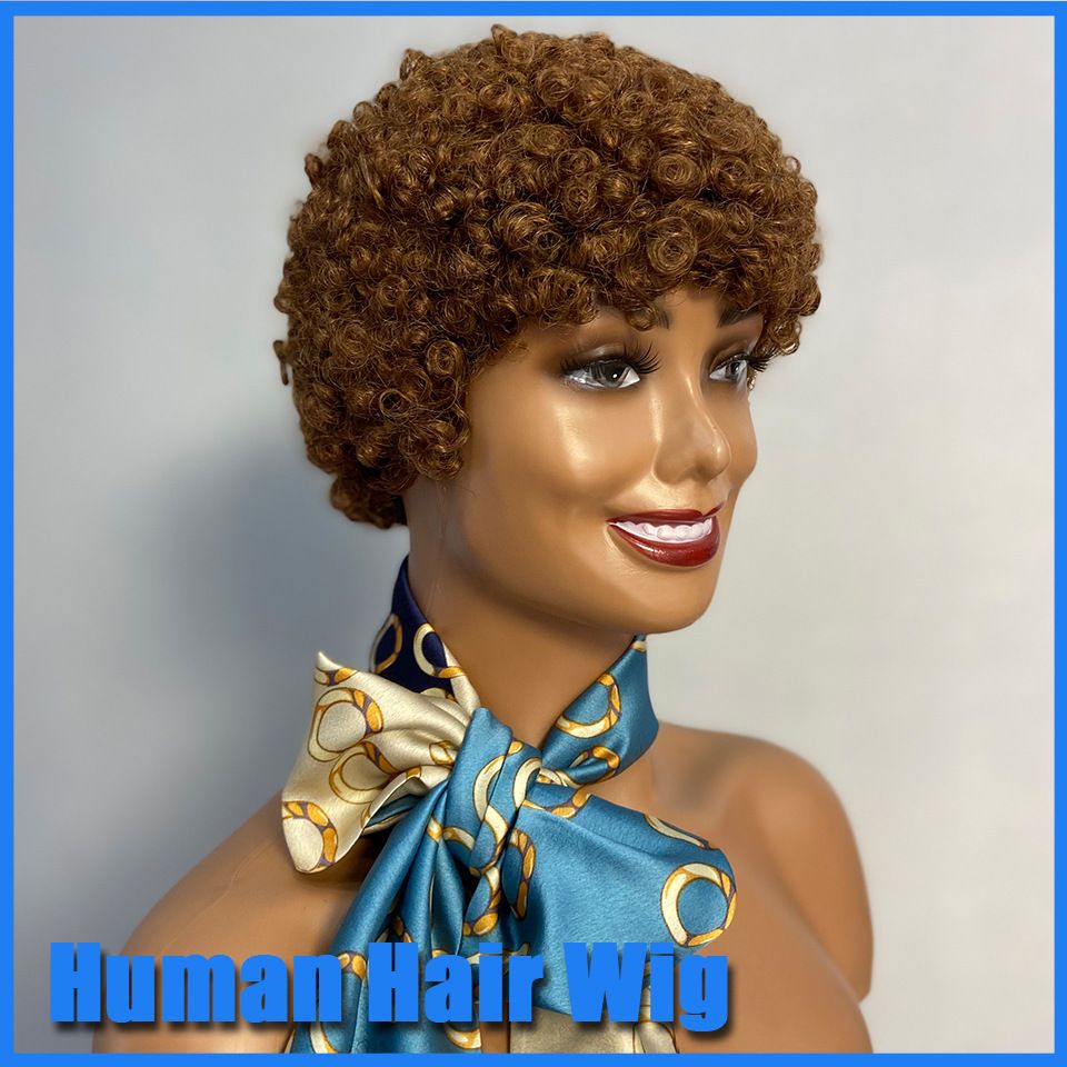 Afro Curly Wig-30