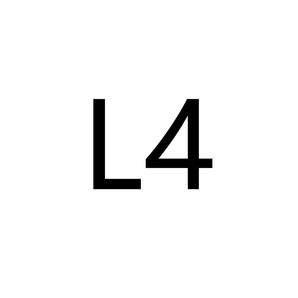 L4-다미 블랙 + 골드 L 버클 (76)