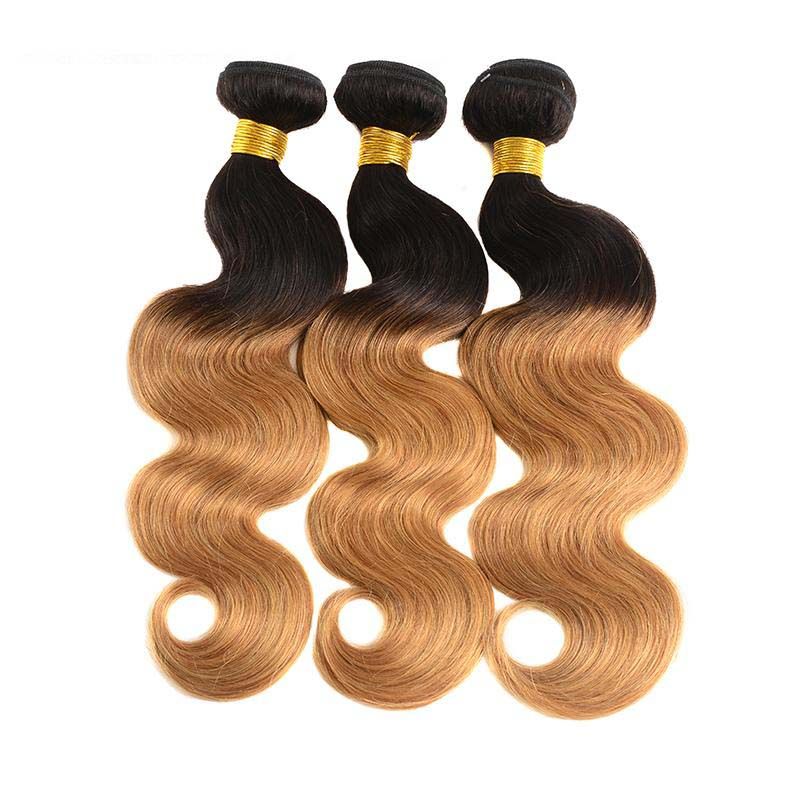 Body Wave T1B / 27