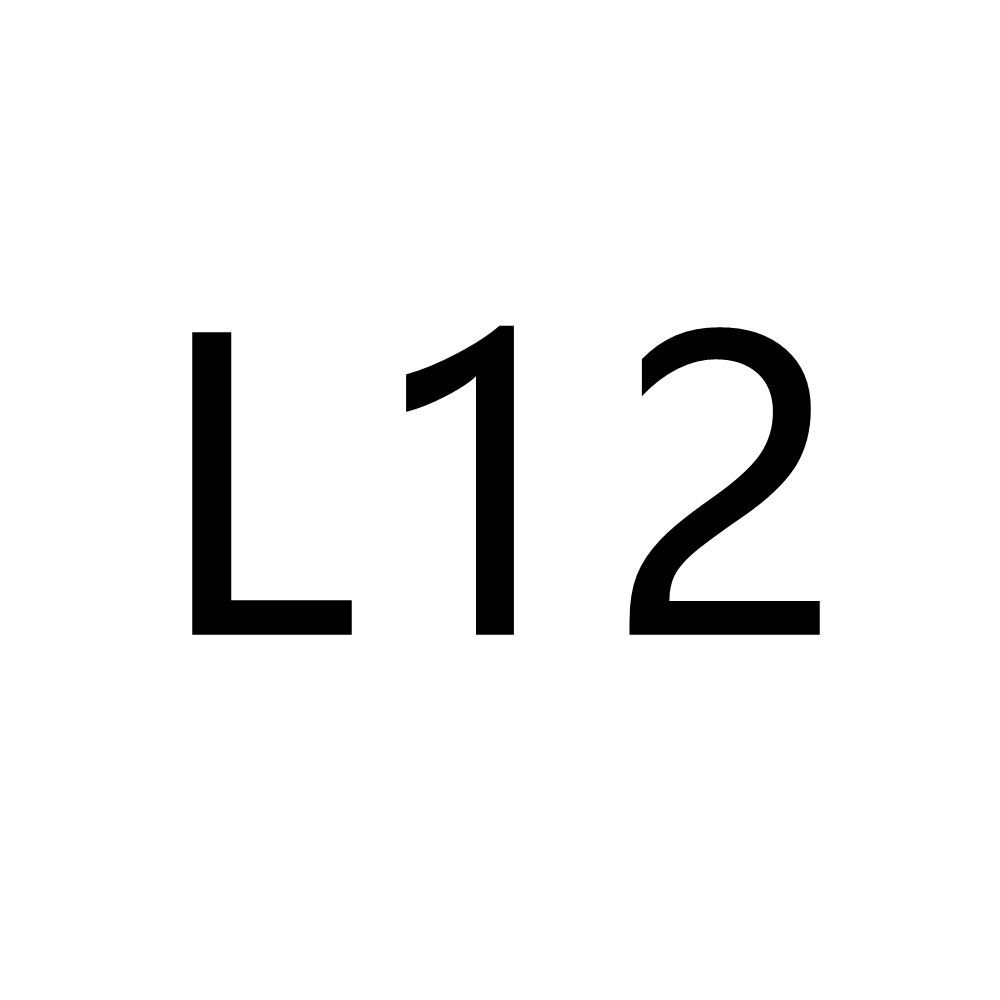 L12-دمير الأبيض + الأسود L الإبزيم 80