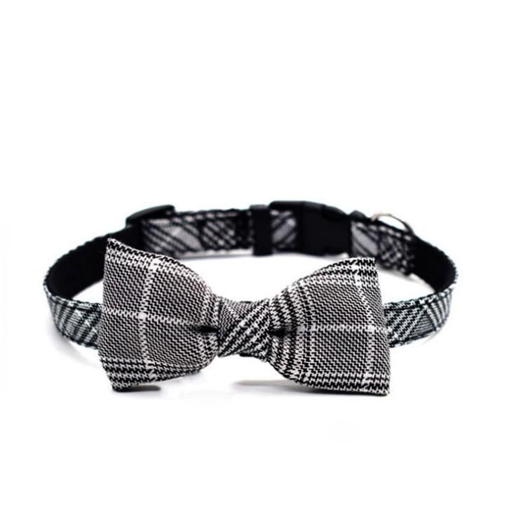 Collar Gray White