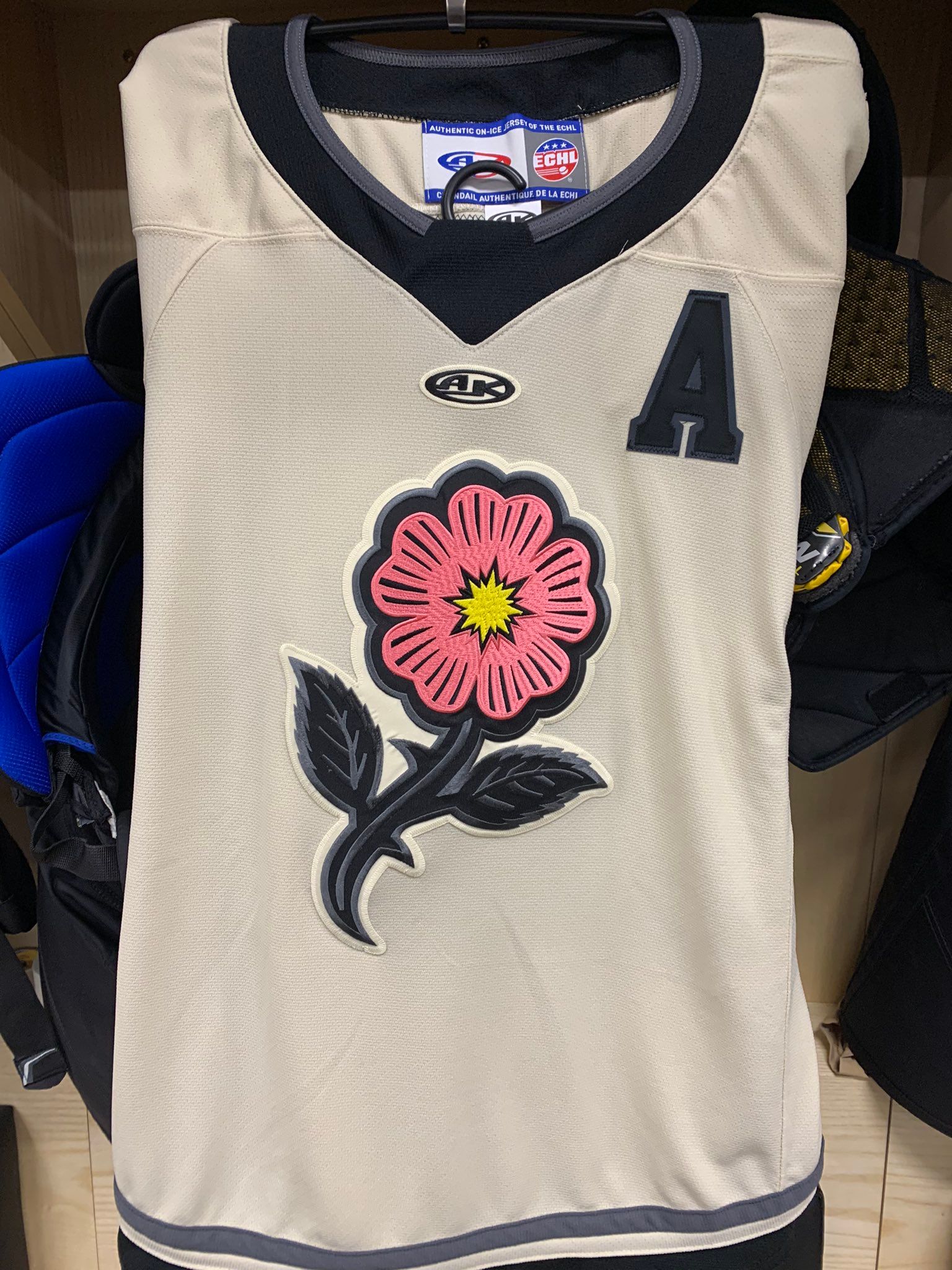 Iowa Heartlanders revealed their jerseys today : r/hockeyjerseys