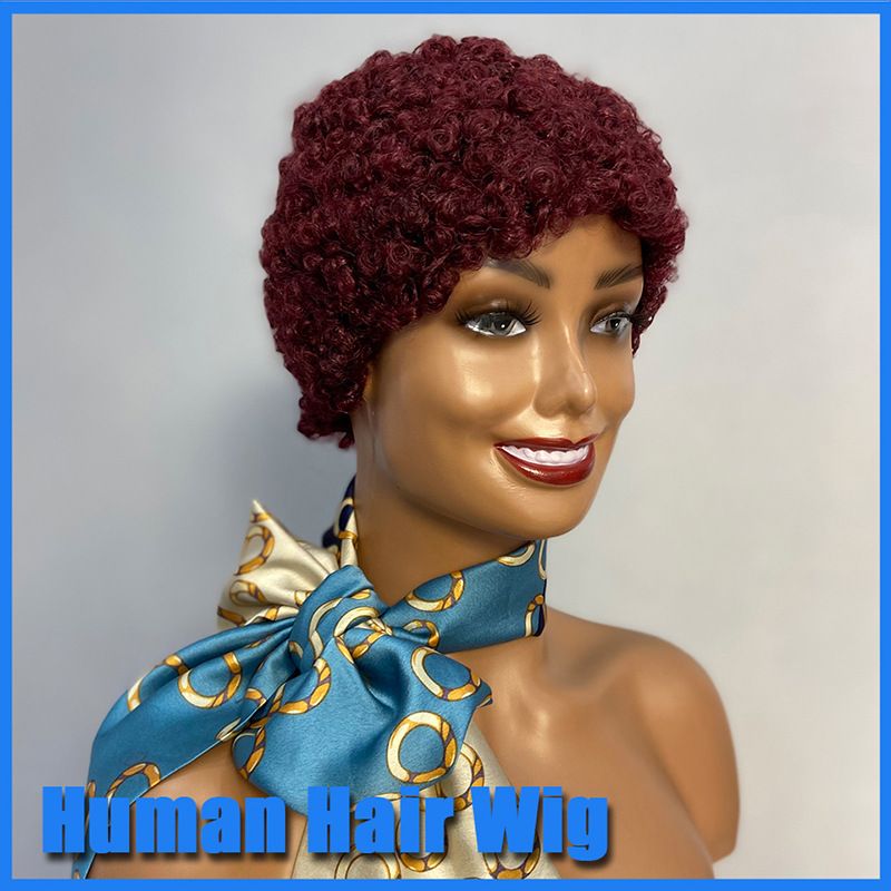 Afro Curly Wig-99j