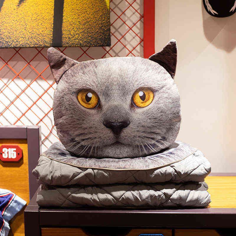 Grey Cat