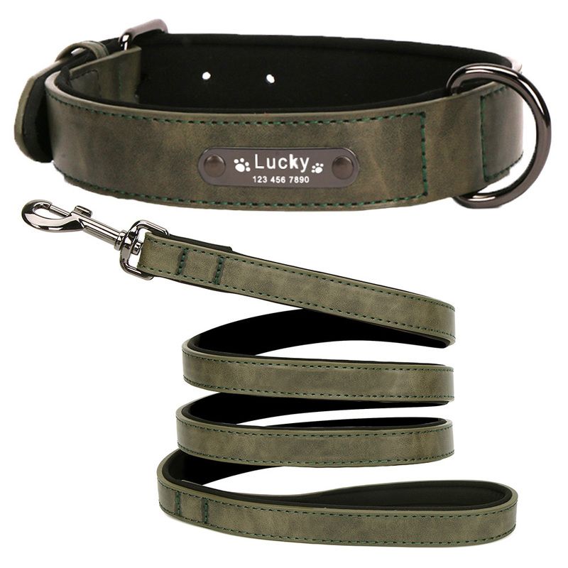 Leash Green Collar