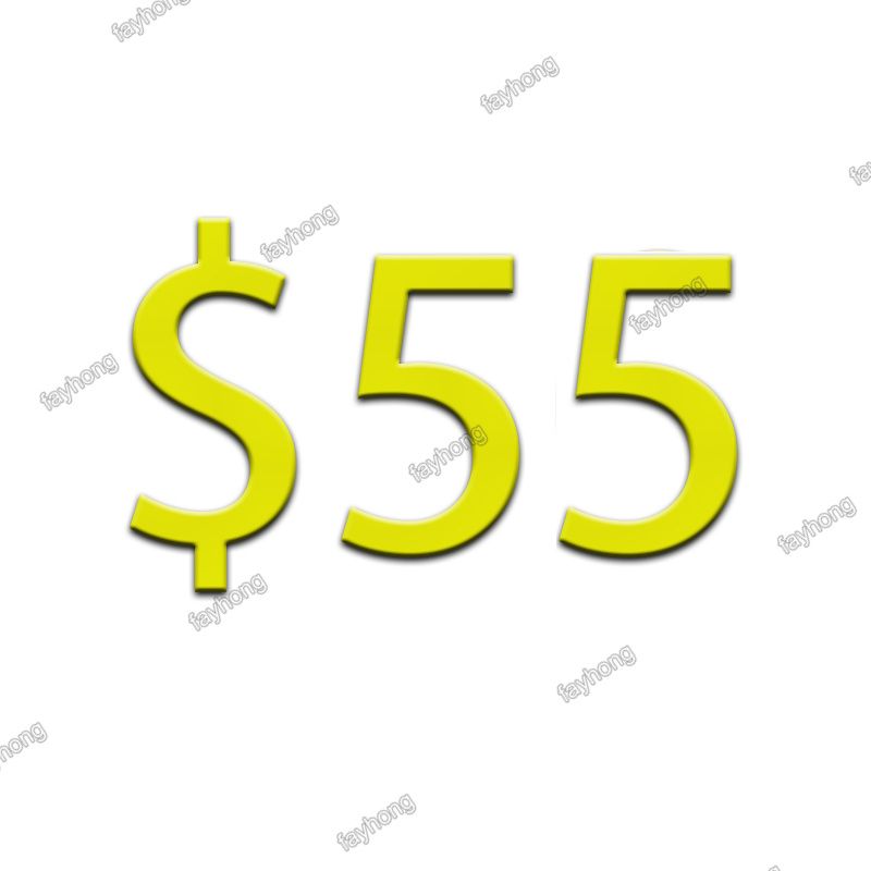 $ 55