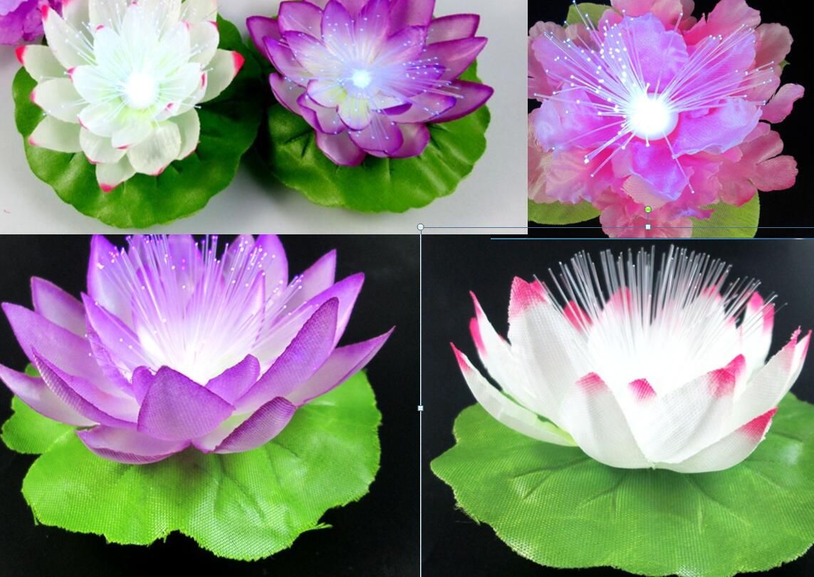 6 lotus with leaves