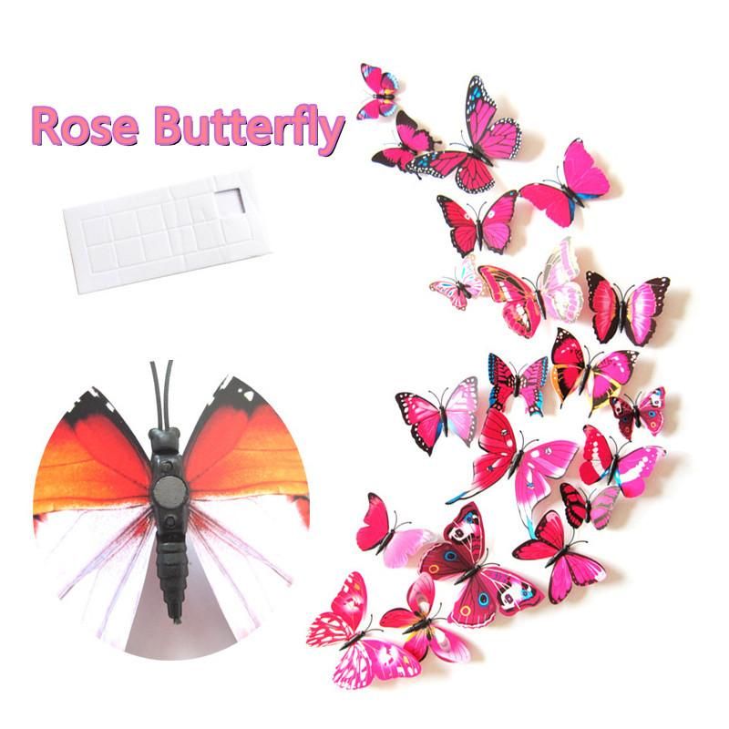 Rose Butterfly Kina