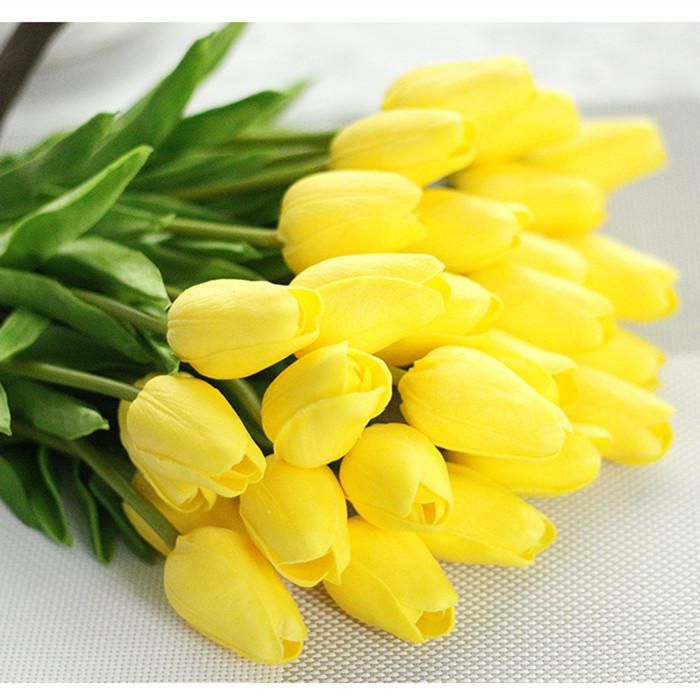 Tulip D3 Yellow