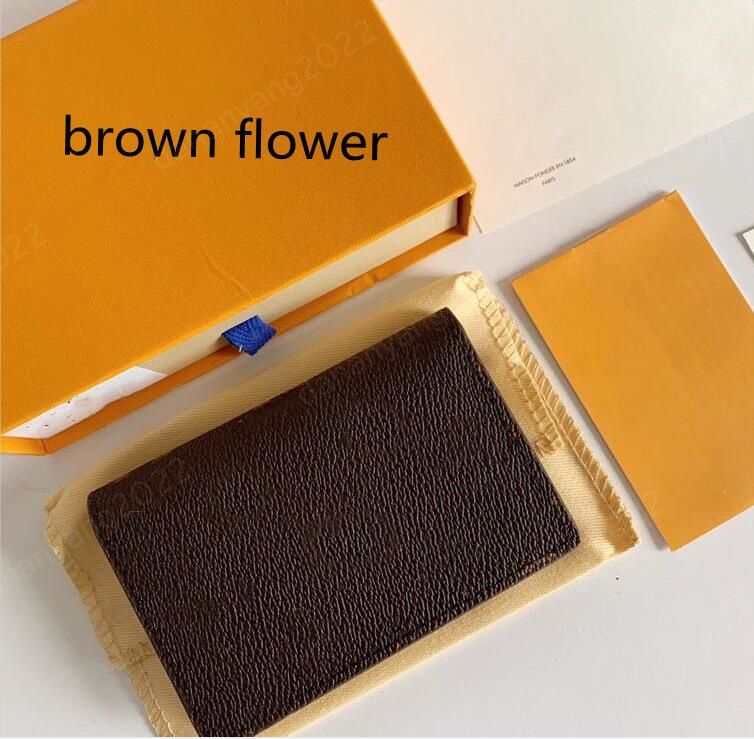 fleur brune