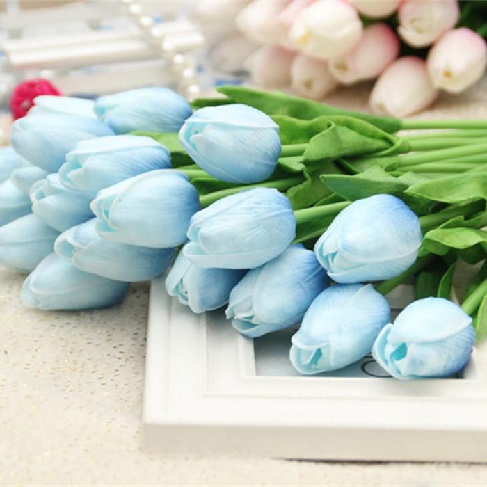 Tulip D6 Light Blue