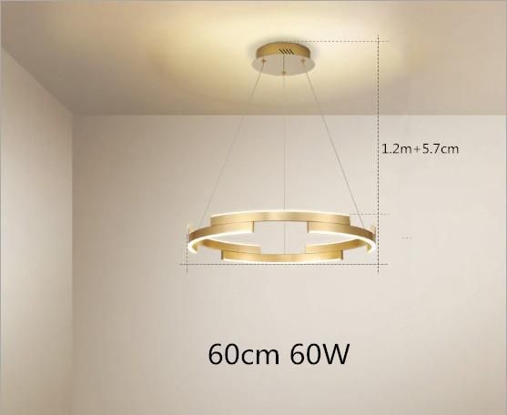 60CM China 40-120W L white light