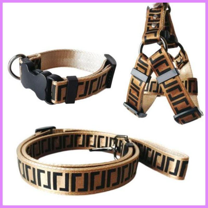 Harnesses + Leashes + Collar