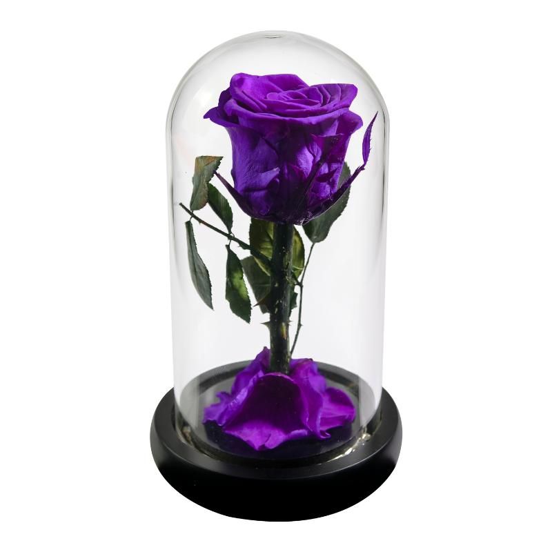 Design 3-LED Purple