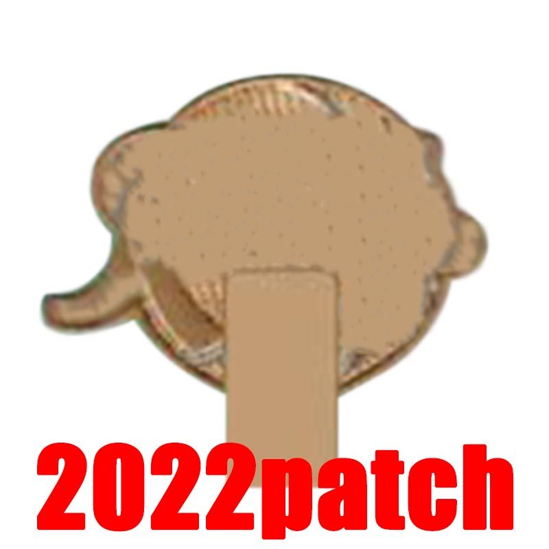 2022 patch