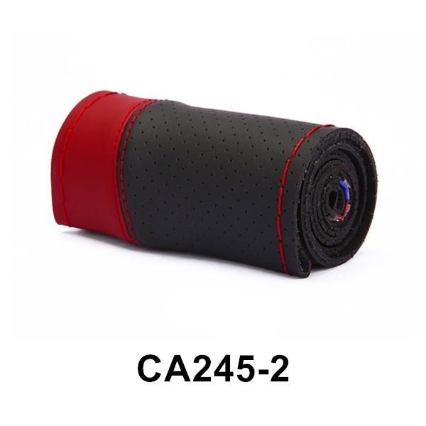 CA245-2