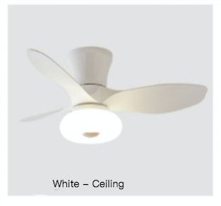 220 - 240 V blanc - plafond