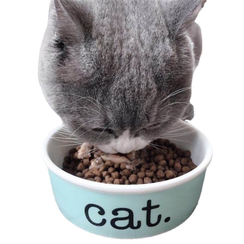 Cat Bowl