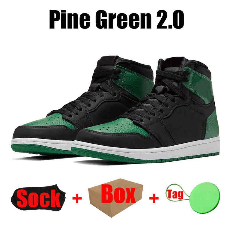 #25 Pine Green 2.0