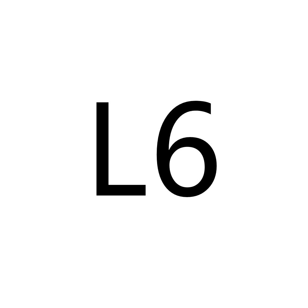 L6-دمير اسود + اسود L الإبزيم 76