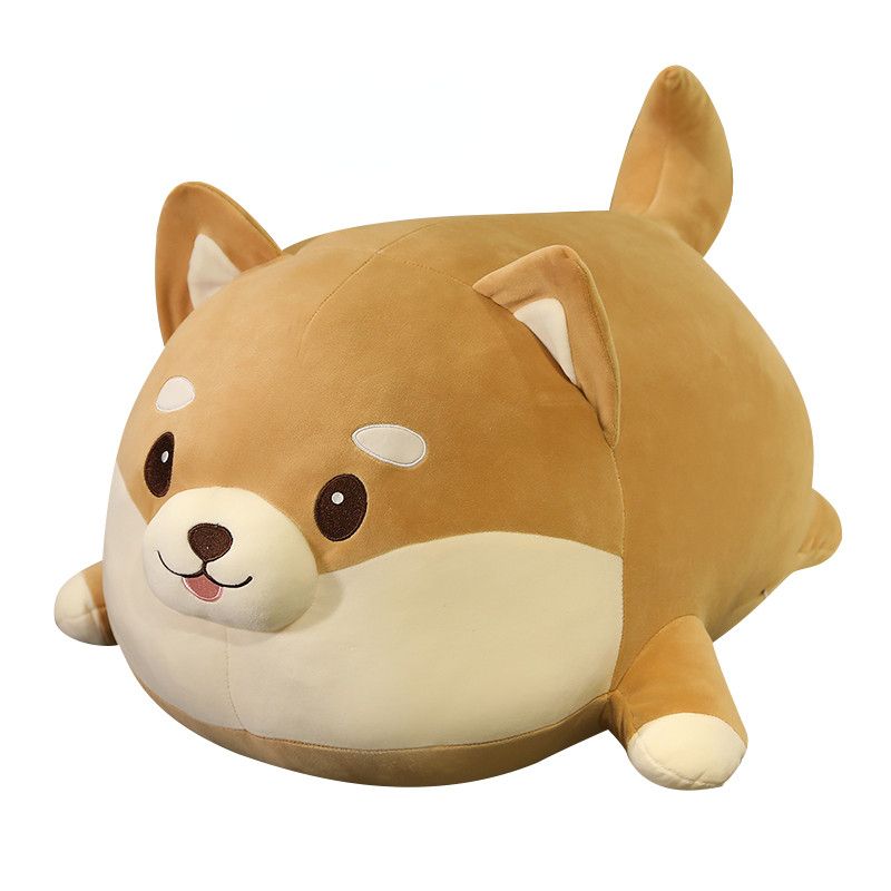 35 cm de graisse shiba