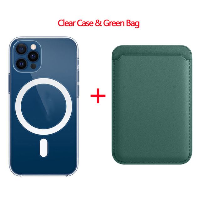 Case Green Bag