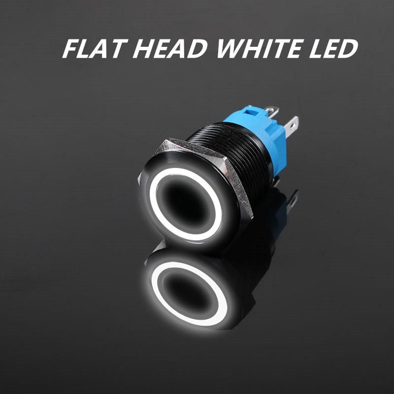 White Power LED 3-6 V High Head Momentary