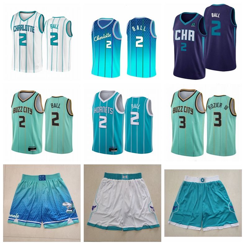 NBA_ jersey Men Basketball LaMelo Ball Jersey 2 Gordon Hayward 20 Terry  Rozier III 3 Team Green Blue Purple White Color Embroidery And''nba''jerseys  