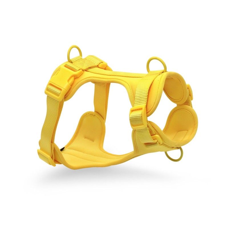 Cinturino toracico giallo