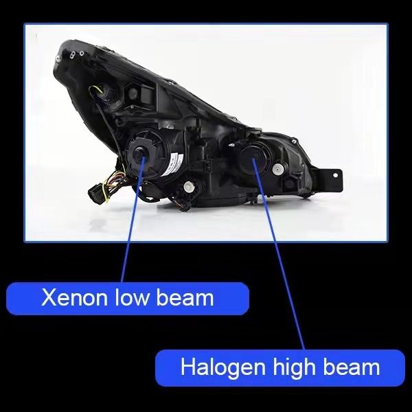 Xenon low lamp