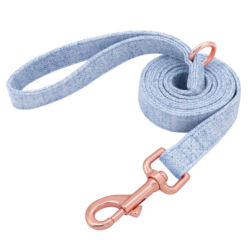 Blue Leash