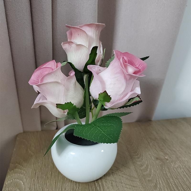 Rose rose blanc chaud