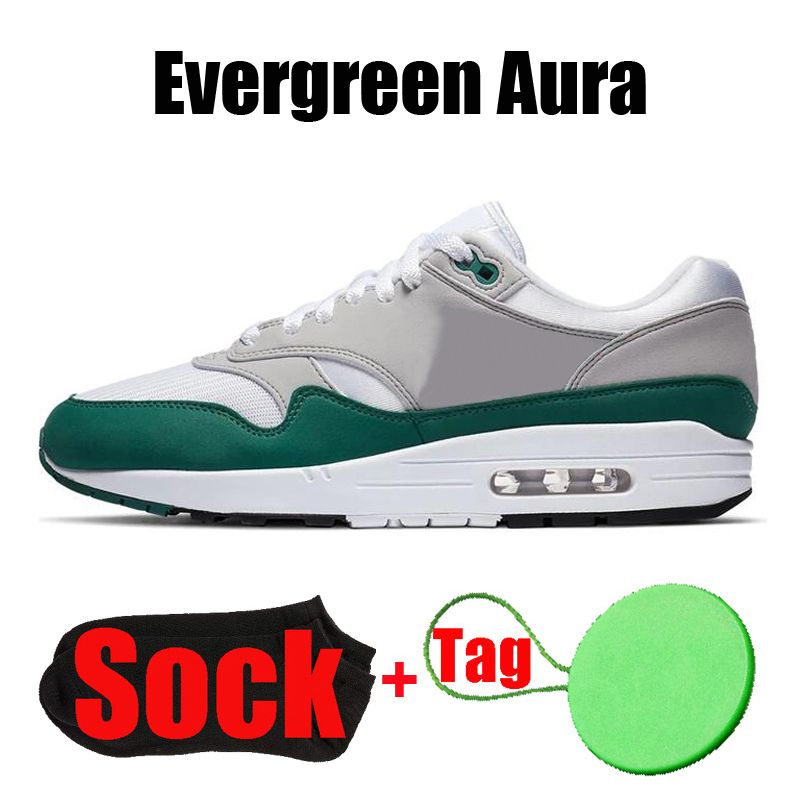 #19 Evergreen Aura 36-45