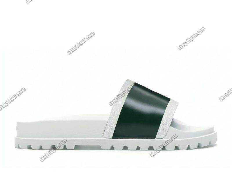 24-web slide sandal white