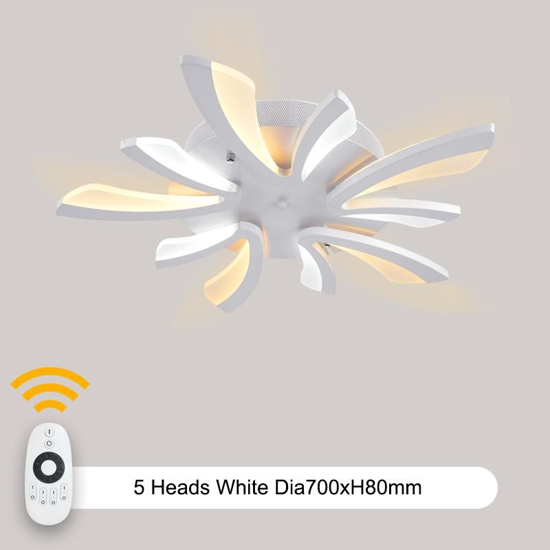 5 heads White Warm white no remote