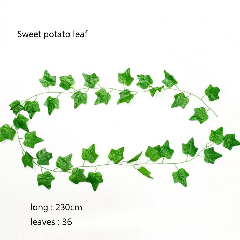 Sweet potato leaf