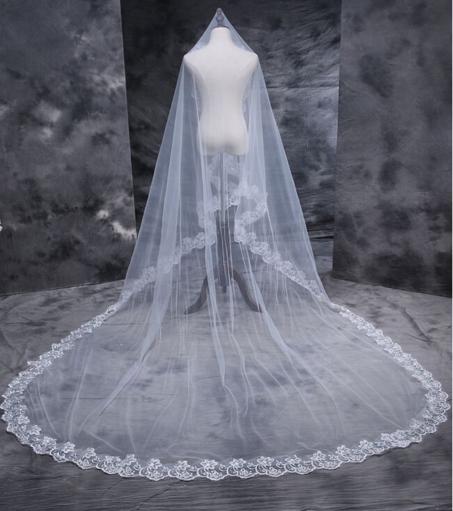 cathedral veil with long train