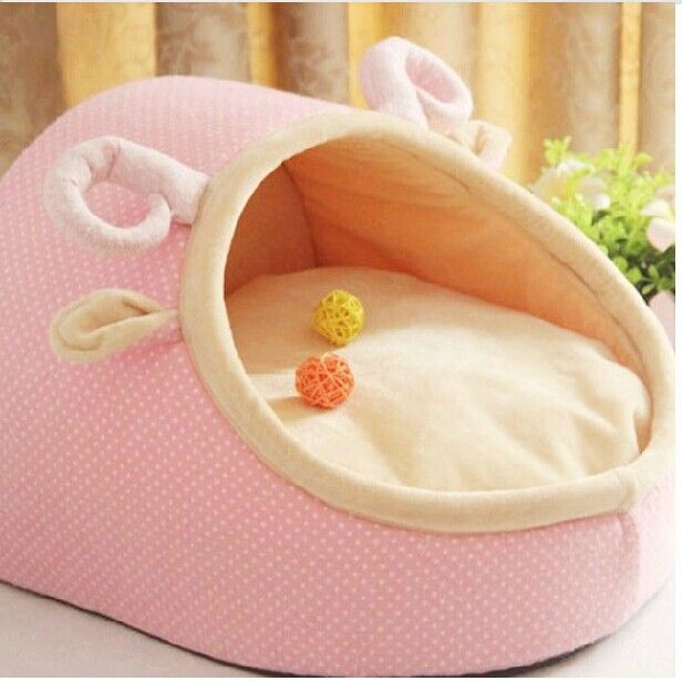 teddy bed price