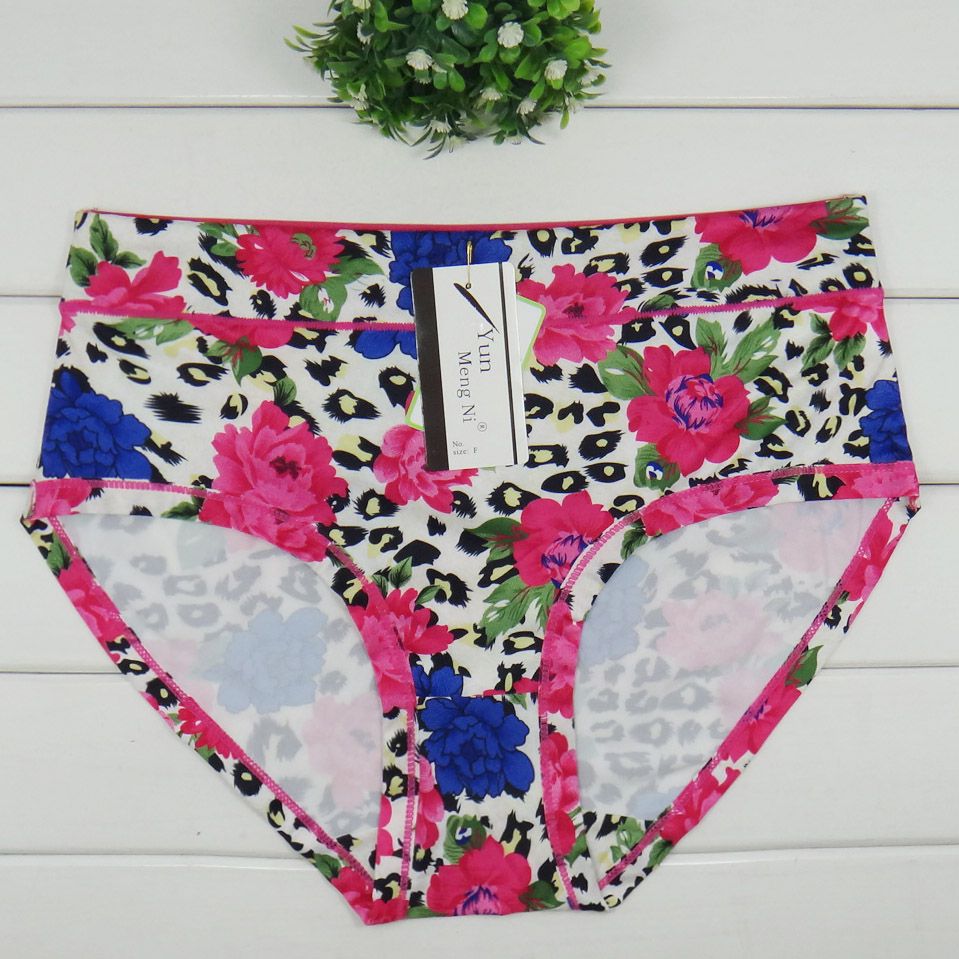 plus size women's briefs