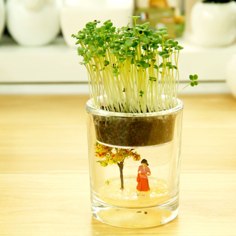 2020 Creative Mini Miniature Plant Pots More Meat Wholesale Office Desktop Anion Hydroponic Plants Heart Shaped Grass From Xwt5243 52 53 Dhgate Com